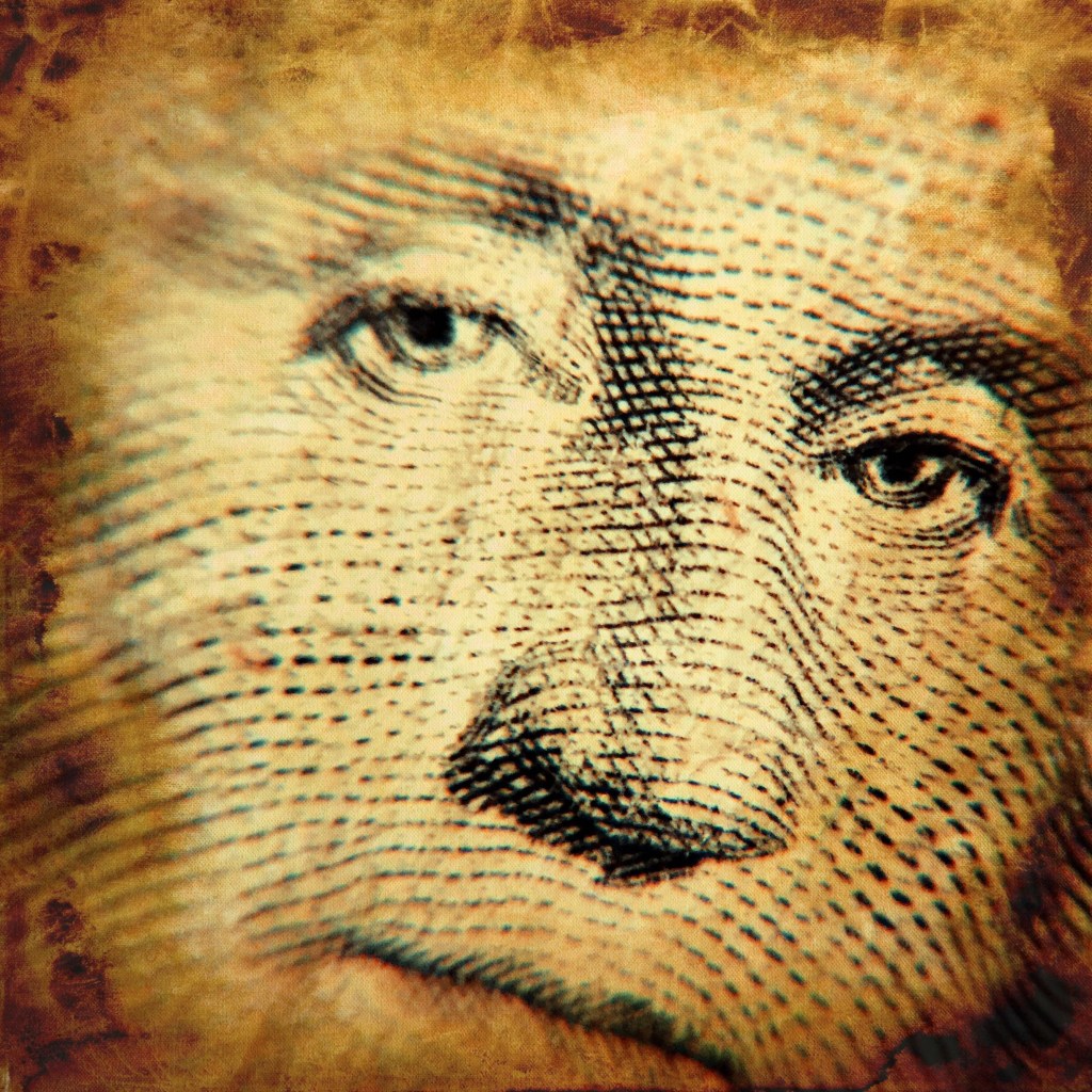 Show me the&nbsp;money!