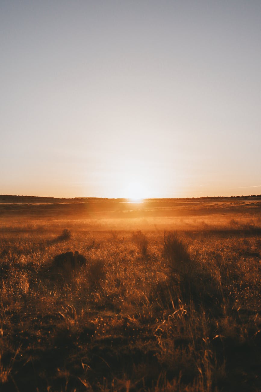 Day 36 – God Walks With His People Into the Next Season