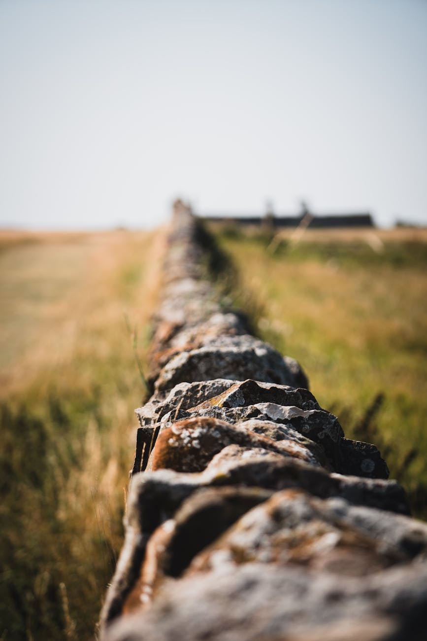 Day 46 – God Brings His People to the Edge of Promise