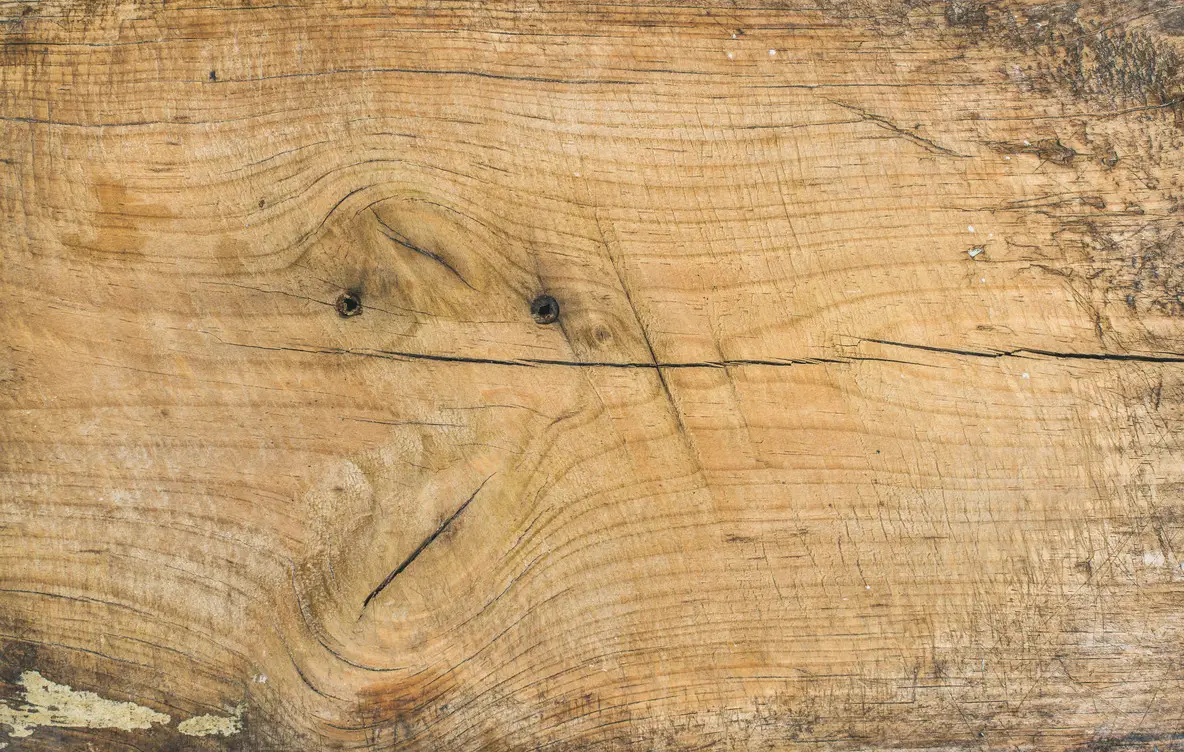 Day 98 – When God’s Word Still Stands Over Time