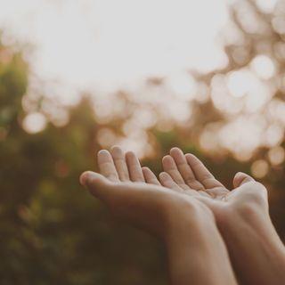 Day 112 – What You Give Reveals What You Trust