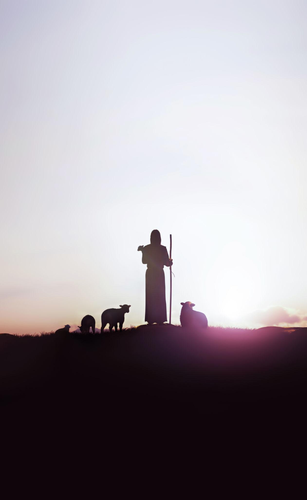 Day 152 — The Shepherd and the King